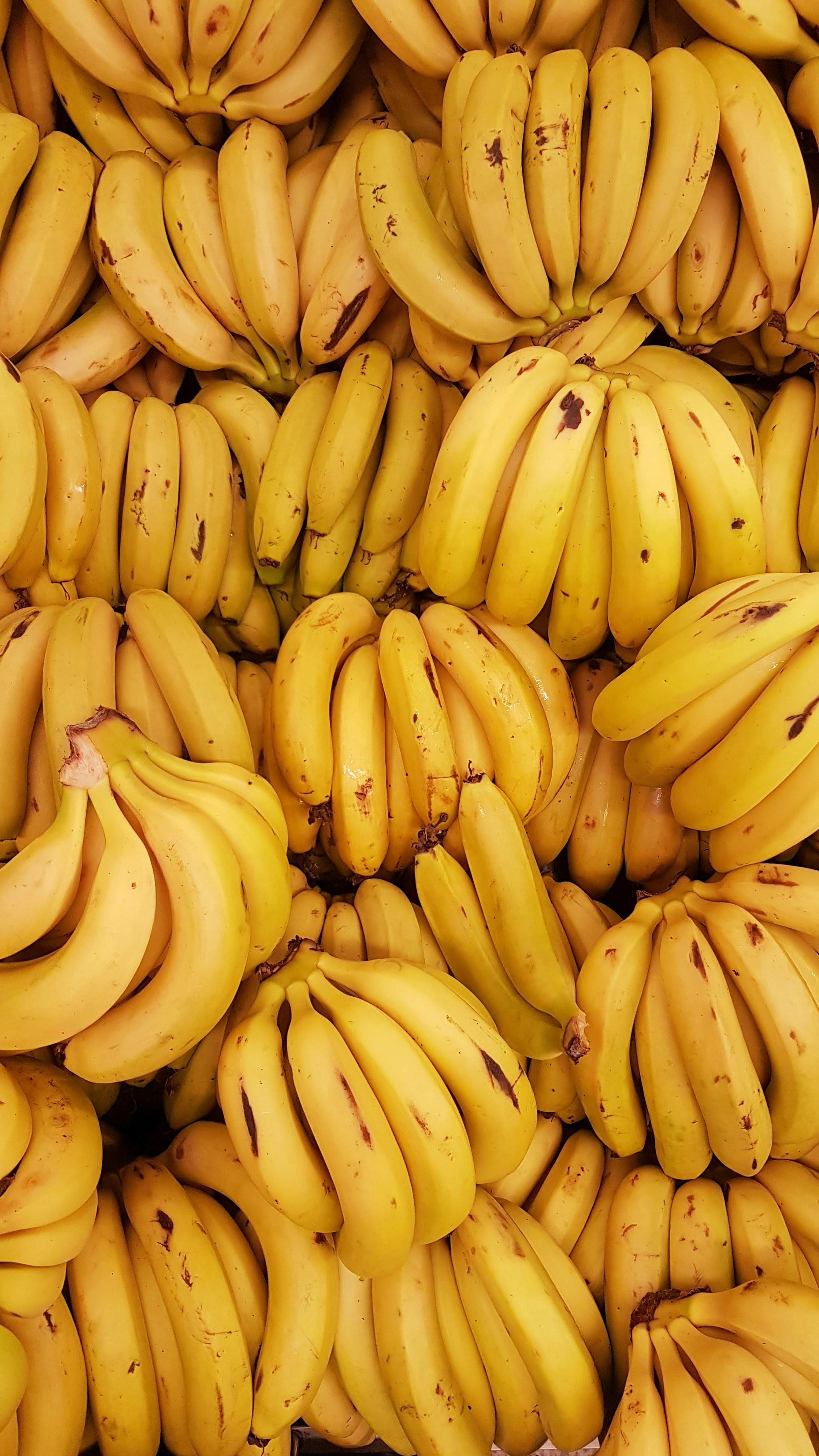 Fruits
